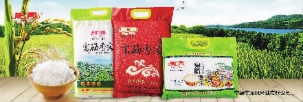 九游老哥J9俱乐部,油茶种植生产加工销售,植物油种植生产加工销售 九游老哥J9俱乐部,油茶种植生产加工销售,植物油种植生产加工销售