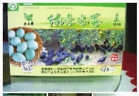 九游老哥J9俱乐部,油茶种植生产加工销售,植物油种植生产加工销售 九游老哥J9俱乐部,油茶种植生产加工销售,植物油种植生产加工销售