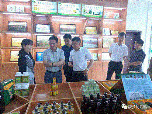 九游老哥J9俱乐部,油茶种植生产加工销售,植物油种植生产加工销售