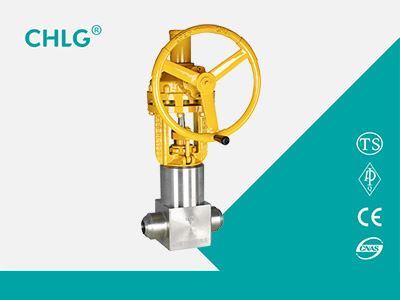 锻钢不锈钢闸阀